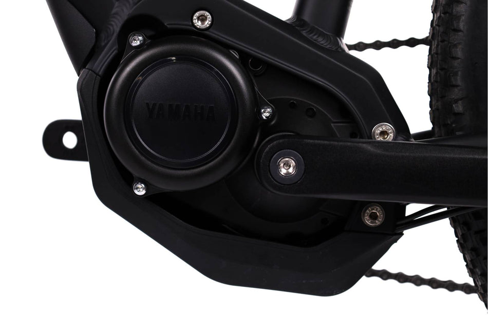 Raymon  HardRay  E 2.0