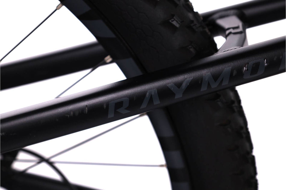 Raymon  FullRay E-Nine 5.0