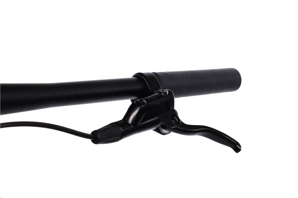 Ridley Kanzo-E MicroShift AdvantX