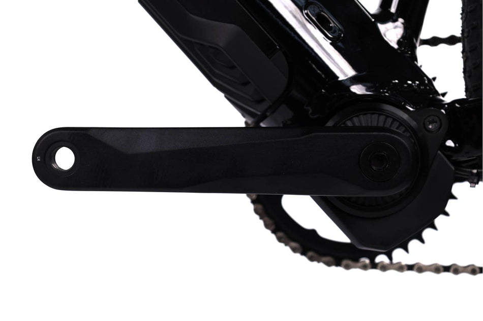 Ridley Kanzo-E MicroShift AdvantX