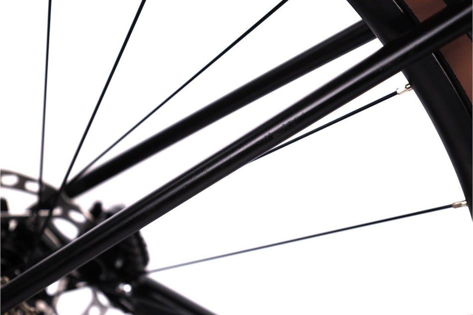 Giant TCR Advanced 2