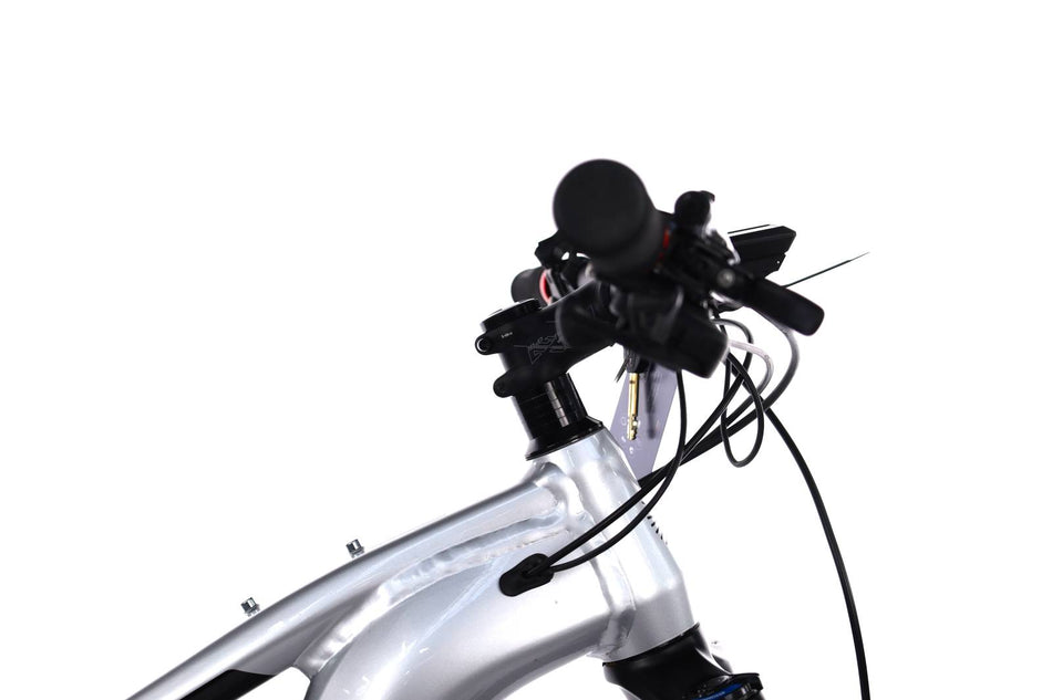 Cannondale Moterra Neo 3