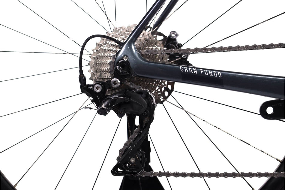 Fuji Gran Fondo 1.3