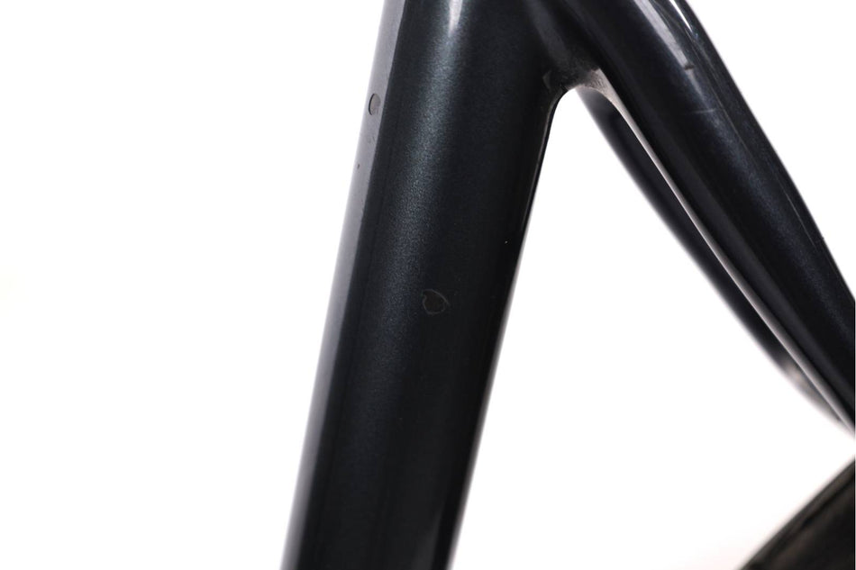 Fuji Gran Fondo 1.3
