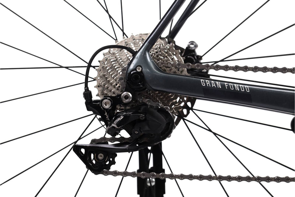 Fuji Gran Fondo 1.3