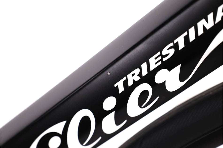 Wilier Garda 105 Disc