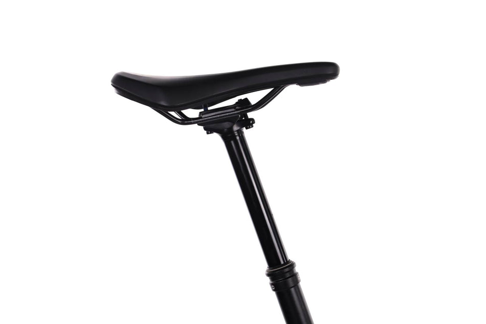 Canyon Spectral ON CF 9