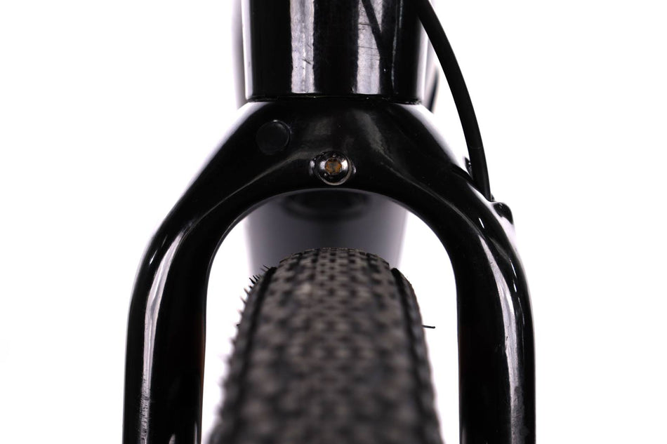Fuji E-Jari GRX