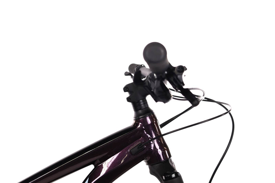 Giant Stance 29