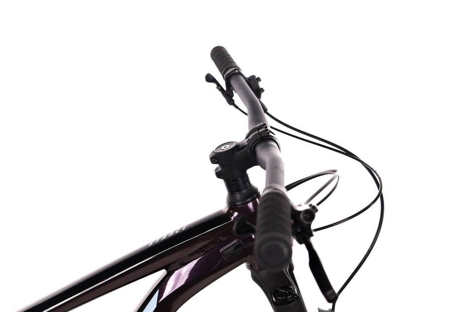 Giant Stance 29