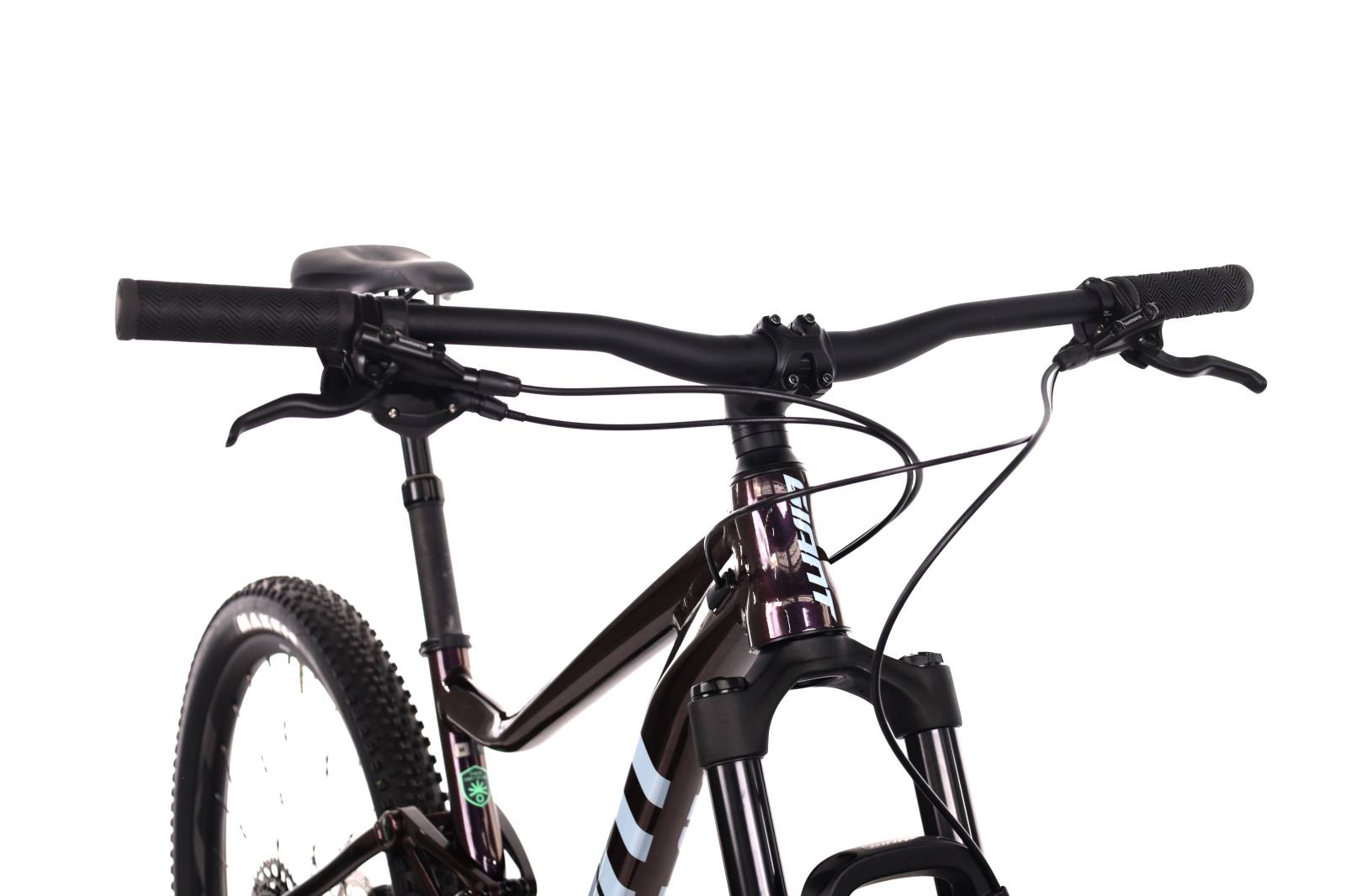 Giant Stance 29