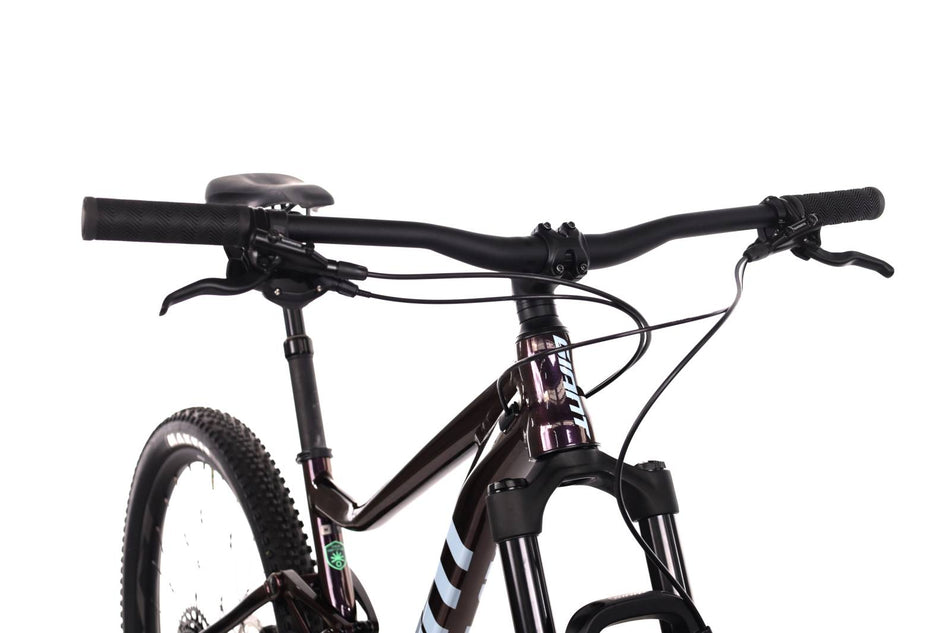 Giant Stance 29