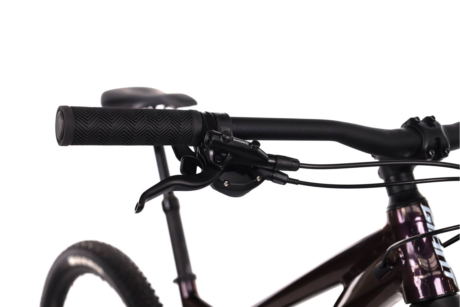 Giant Stance 29