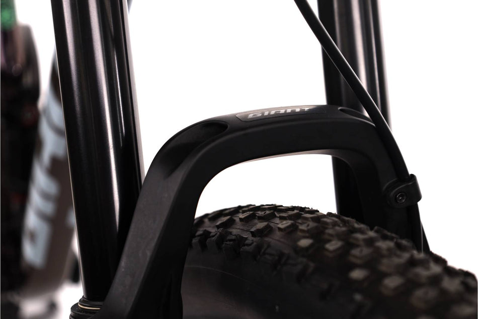 Giant Stance 29