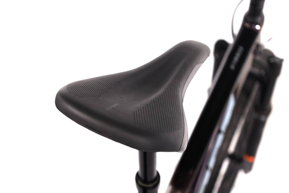 Giant Stance 29