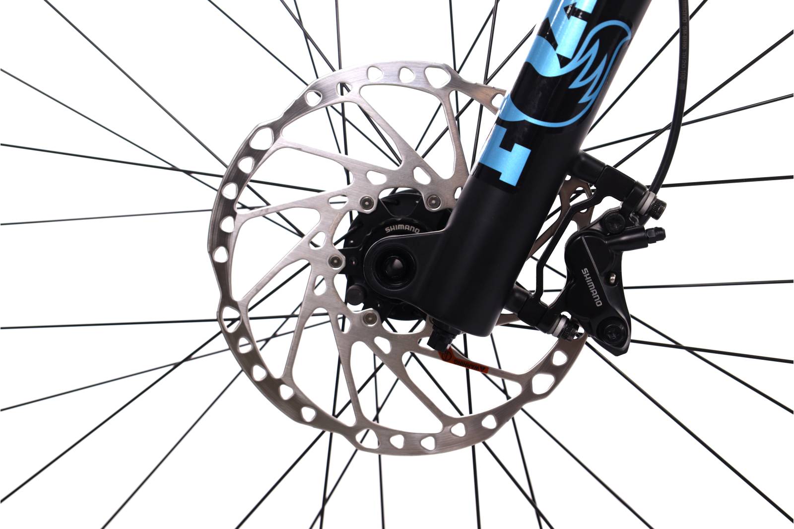 BH Xtep Lynx  9.7