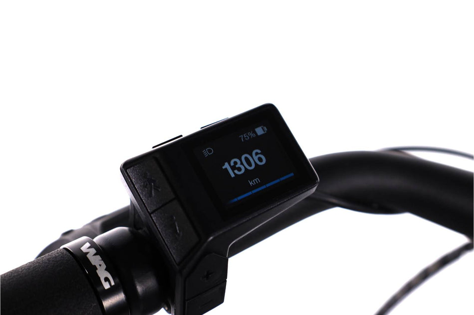 Giant Dailytour  E+3