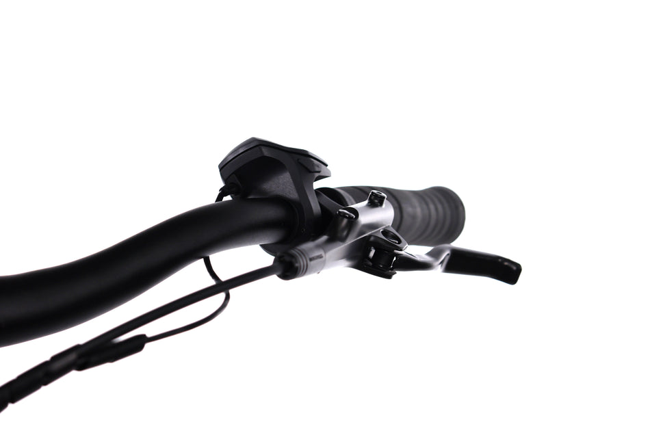 Carver Cityzen E.410 FL - VTT semi-rigide électrique