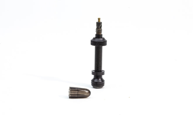 Paire de valves Tubeless Schwalbe presta