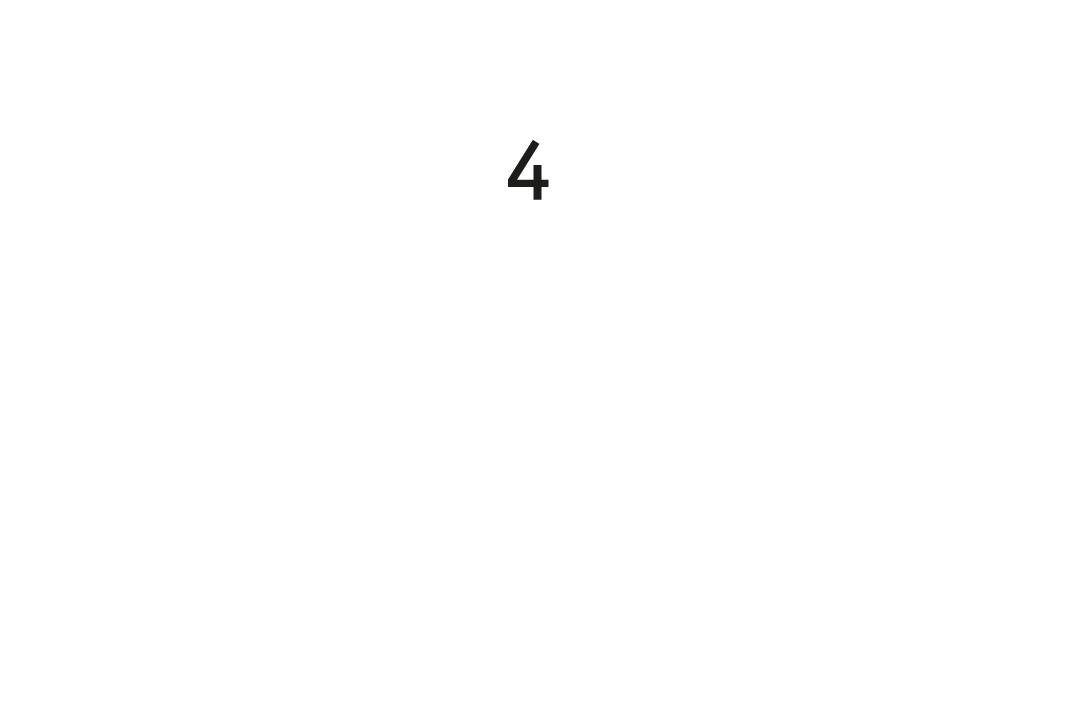 Schwalbe Protection Niveau 4