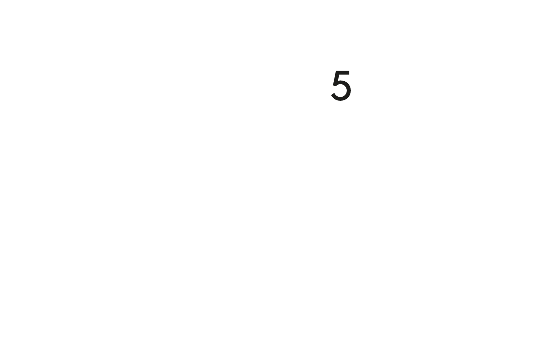 Schwalbe Protection Livello 5