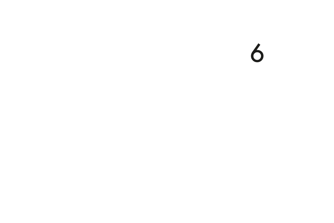Schwalbe Protection Niveau 6