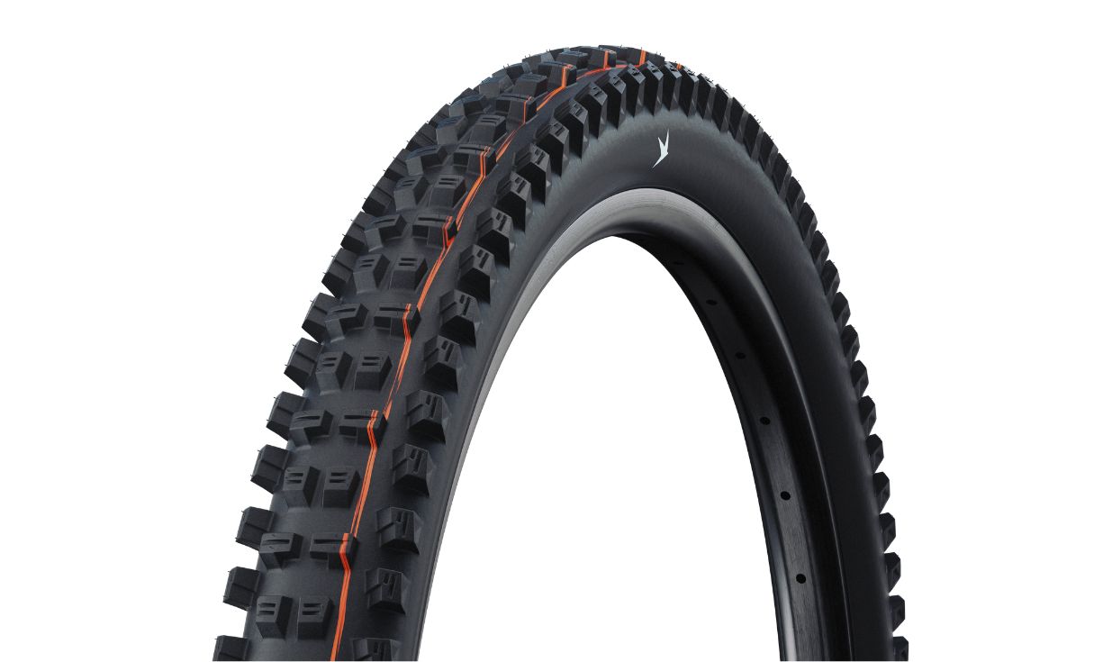 Pneu Schwalbe Tacky Chan Radial - Gravity PRO - Soft - Tubeless Ready