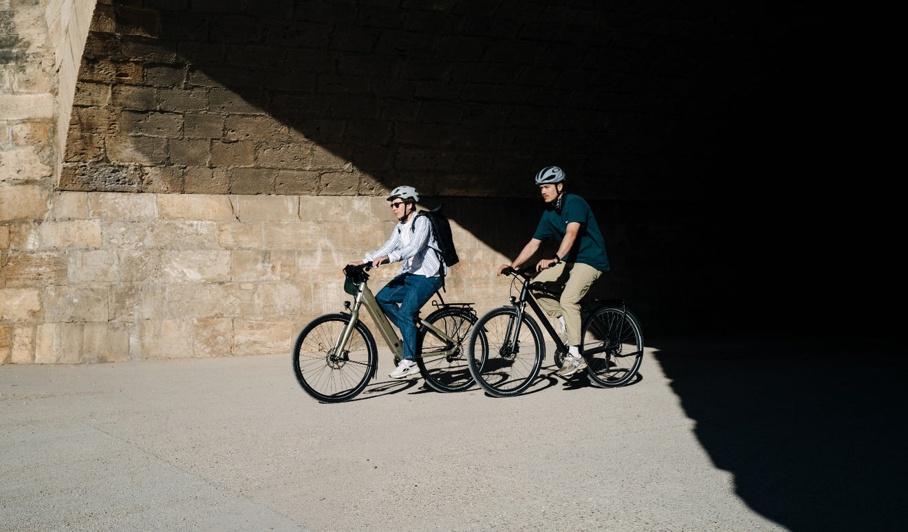 article guide d'achat pneu schwalbe marathon