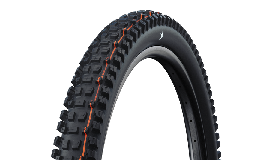 Pneu Schwalbe Albert Radial - Gravity PRO - Soft - tubeless ready