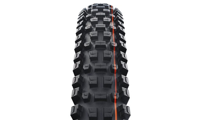Pneu Schwalbe Albert Radial -Trail PRO - Soft - Tubeless Ready