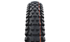 Pneu Schwalbe Albert Radial -Trail PRO - Soft - Tubeless Ready