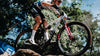 Pneu VTT Vittoria Mezcal XC Race 29 tubeless ready avec gomme Graphene et Silica pour cross-country performant